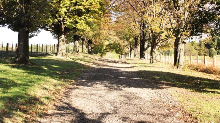 Round Hill Park - Allegheny County Parks Foundation