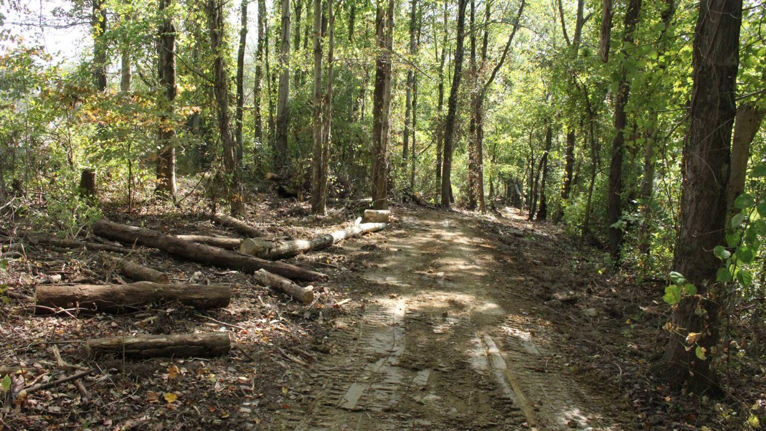 trial under construction