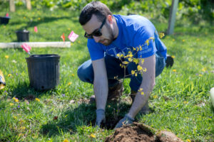 Park Rangers and volunteers plant trees in Hartwood Acres Park