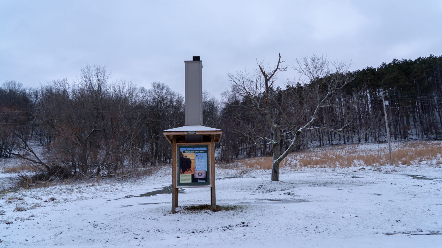 Chimney Swift Habitat Towers - Allegheny County Parks Foundation