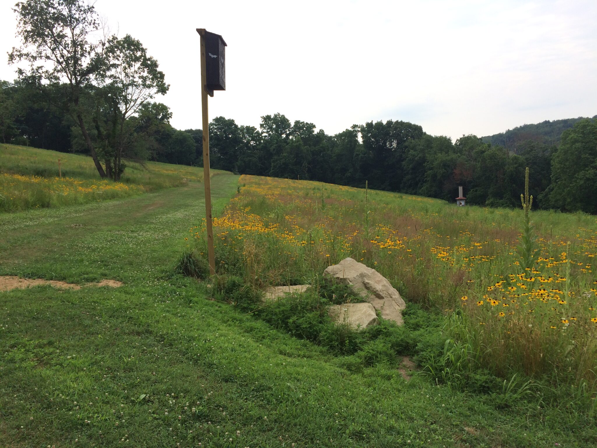 Paul Riis Meadow - Allegheny County Parks Foundation