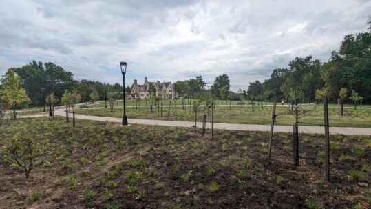 Image of small tree and groundcover planting at Suffragist Grove with the Hartwood Acres Mansion in the background.