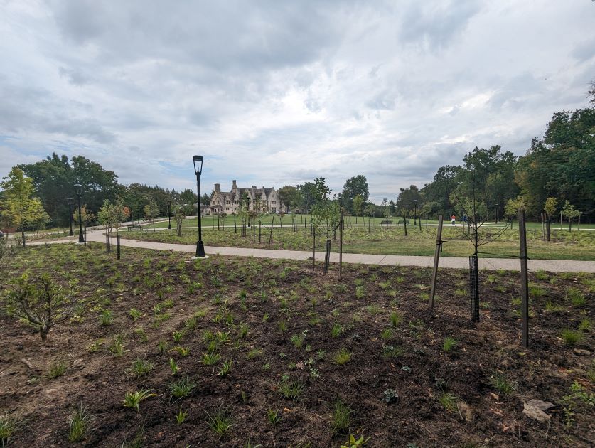 Image of small tree and groundcover planting at Suffragist Grove with the Hartwood Acres Mansion in the background.