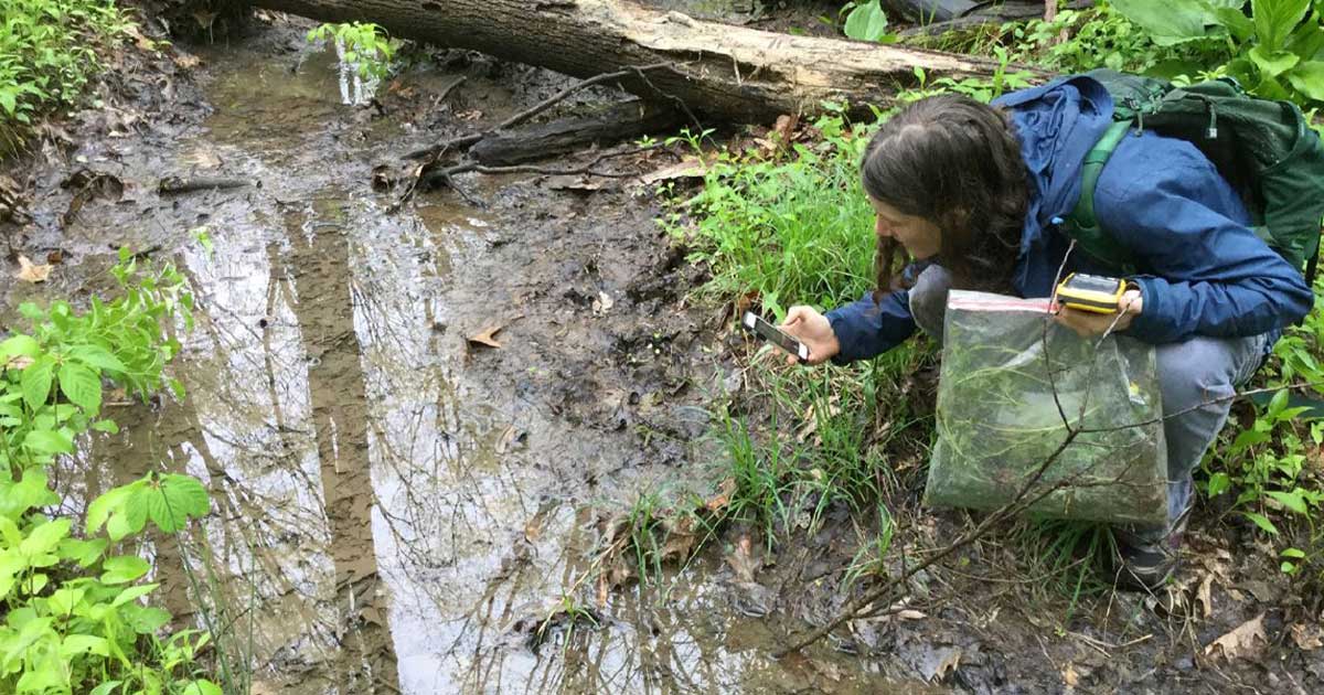 taking samples from stream
