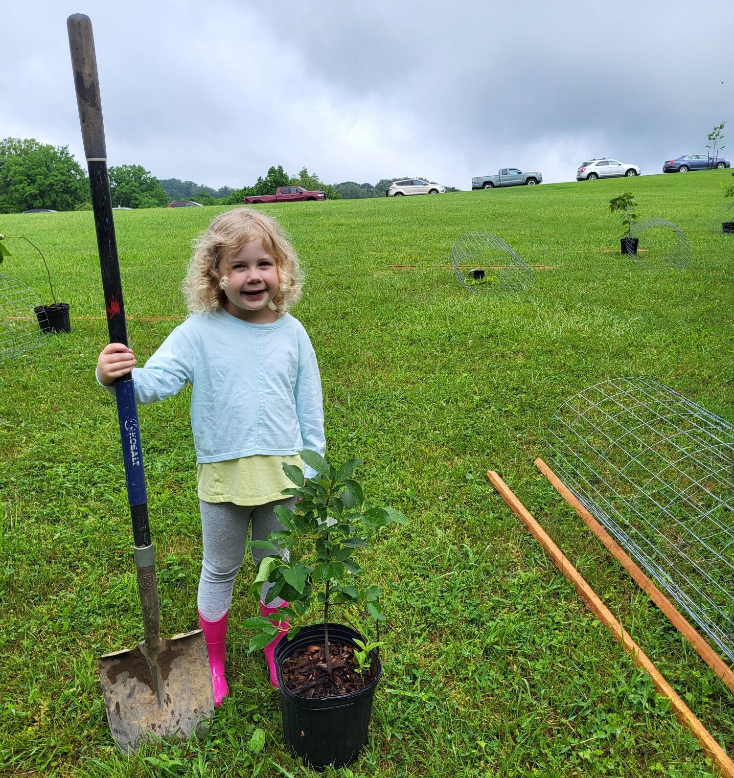 Young child helps plant a tree