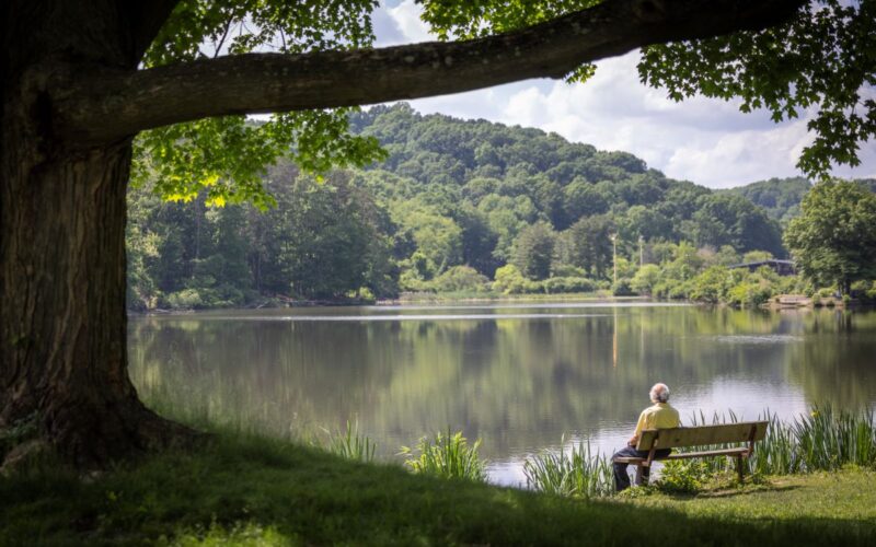 Man sitting and watching a lake from a bench under a tree