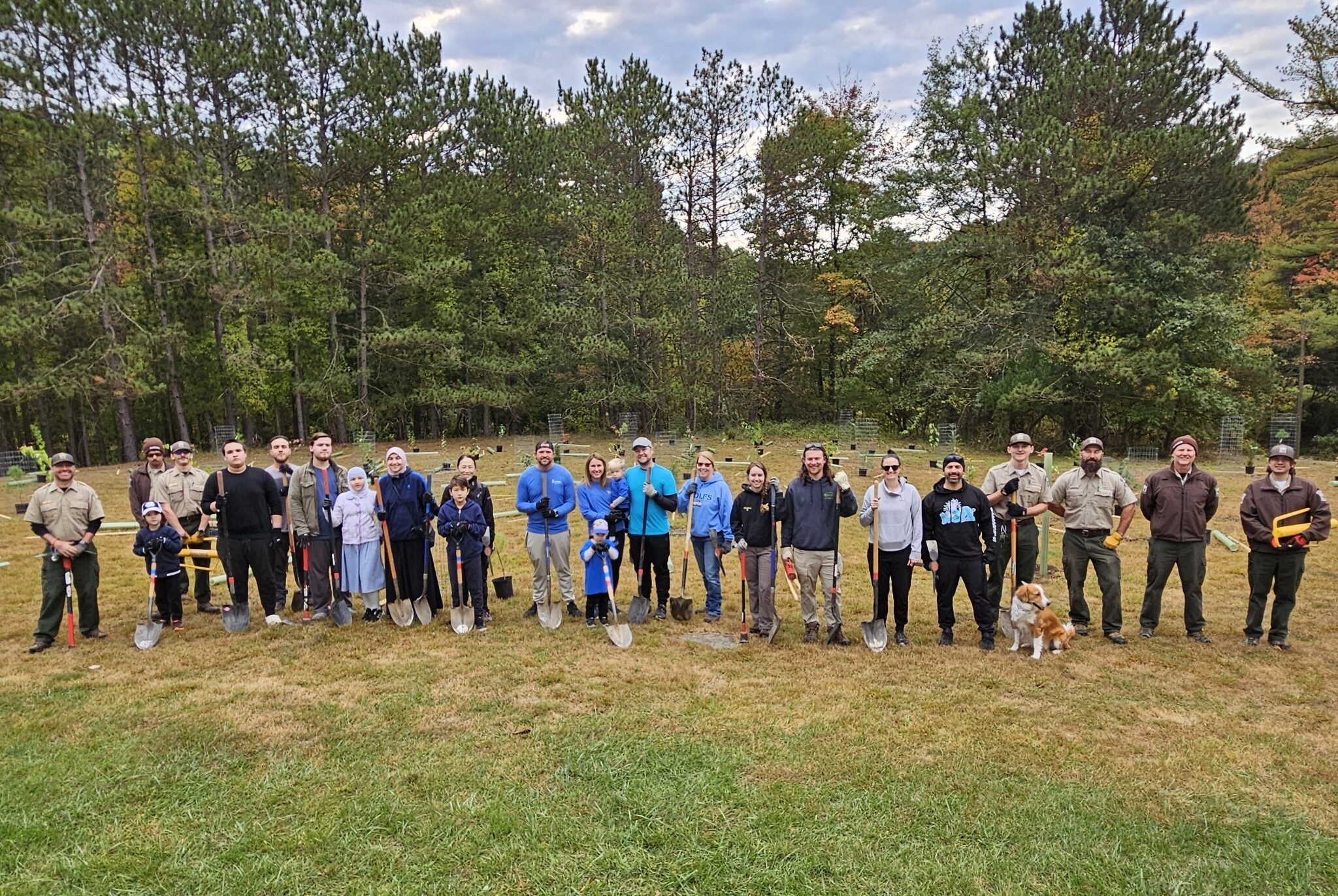 Tree Planting