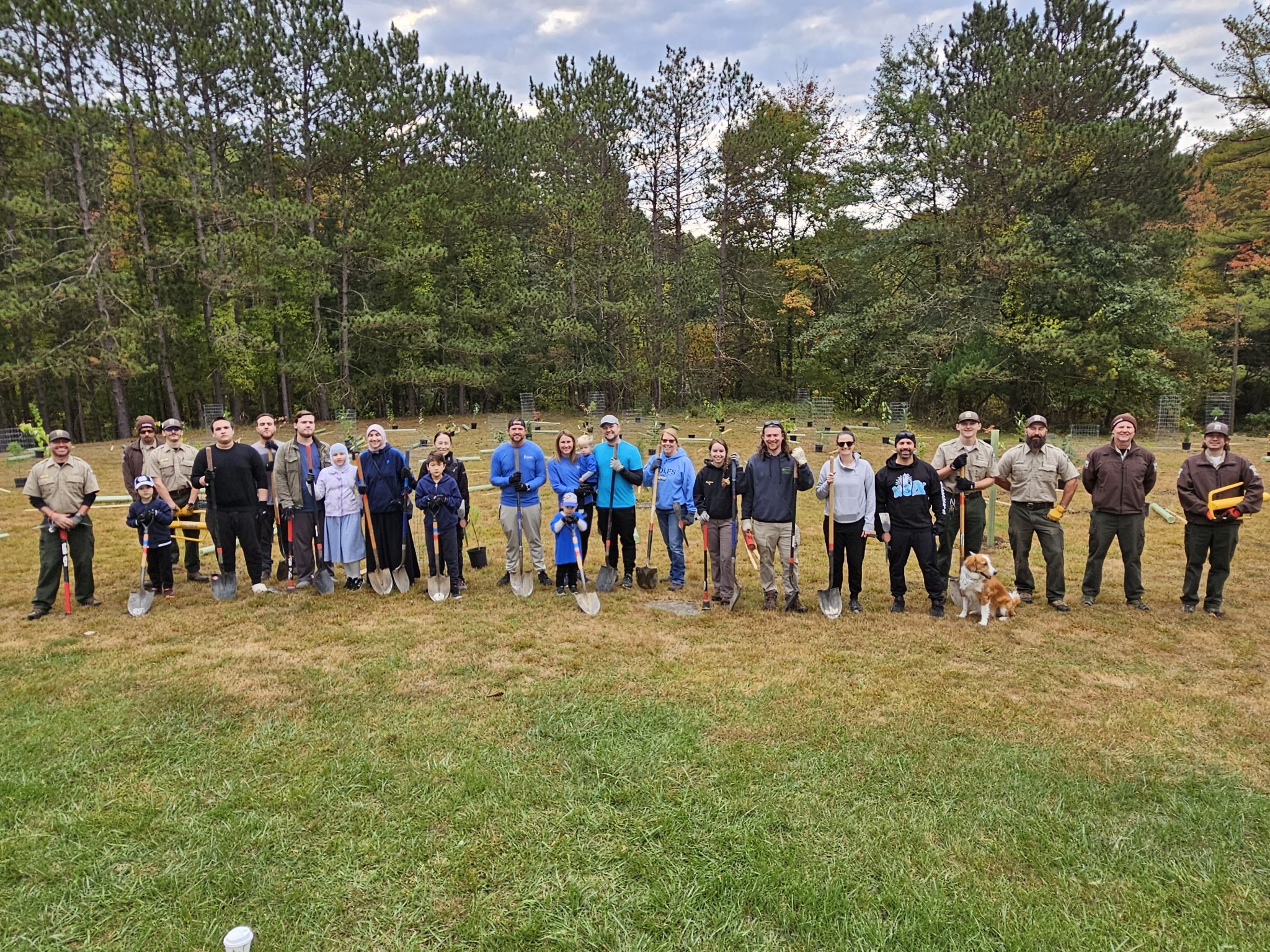 Tree Planting