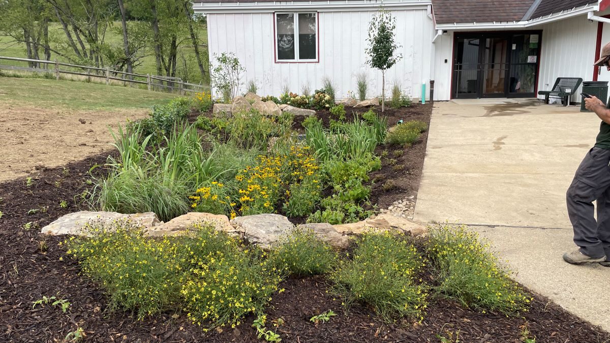 Visitors Center Rain Garden