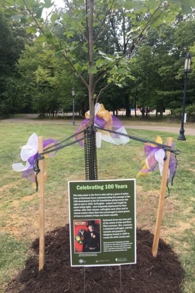 Suffragist Grove First tree to be planted at Suffragist Grove