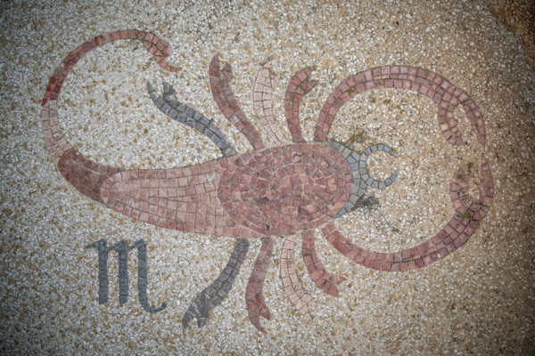 Terrazzo Floor, 2022